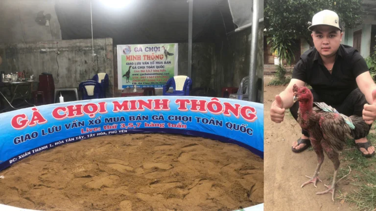 Video ngày 06/10/2025 – CLB Gà Chọi Minh Thông